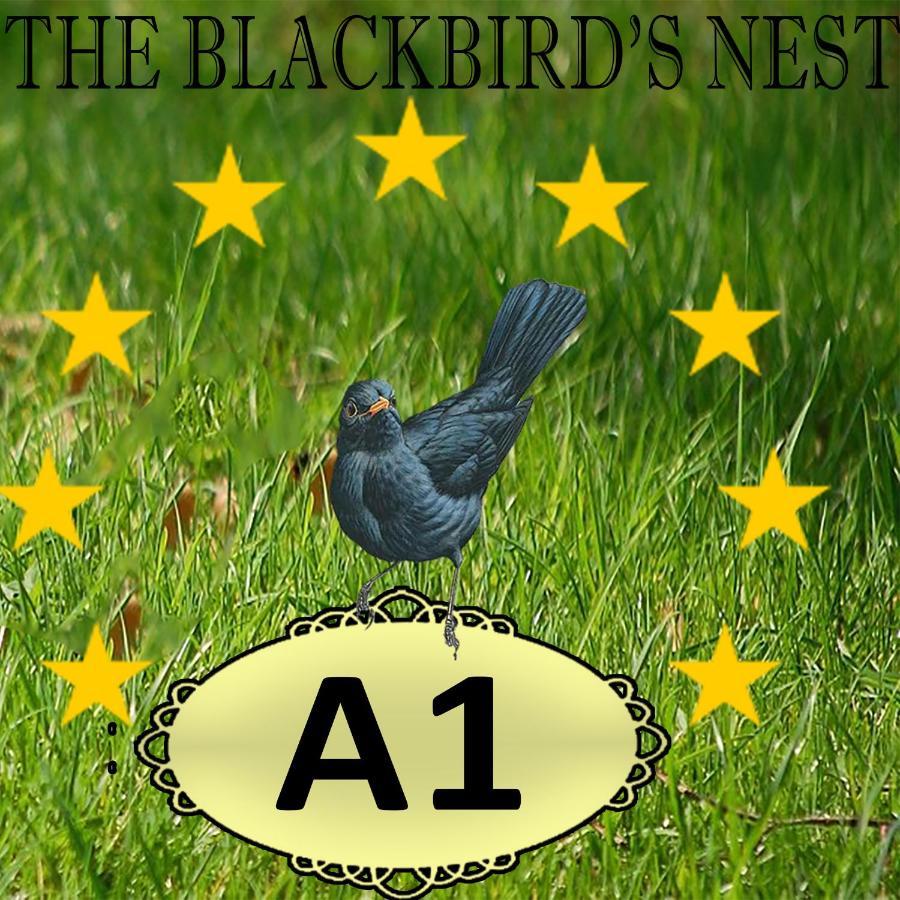 The Blackbird'S Nest Chania  Bagian luar foto